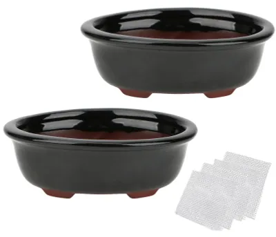 Imagen del producto de Juego de 2 macetas de cerámica Zisha para bonsáis