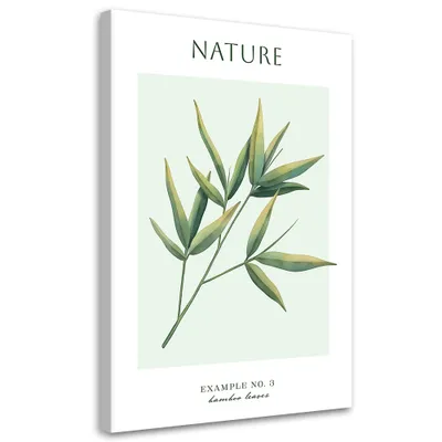 Produktbild von Leinwandbild Bambusblätter – Natur 60x90 Feeby Grün bild für die wand bereit zum aufhängen