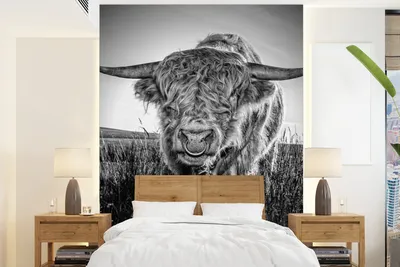 Produktbild von MuchoWow® Fototapete für Wohnzimmer oder Schlafzimmer Wandtapete Vinyl Motivtapete Schottischer Highlander - Schwarz und Weiß - 175x240 cm - Schlafzimmertapete