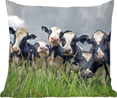 Produktbild von MuchoWow® Zierkissen Sofakissen Wohnzimmer Dekokissen 50x50 cm Kuh - Wolken - Gras - Tiere - Komfort - Sofakissen