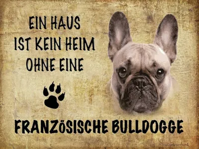 Produktbild von vianmo Holzschild 30x40 cm Französische Bulldogge Hund