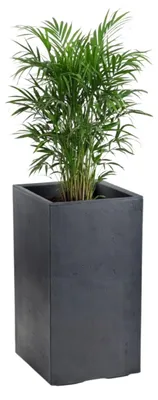 Obrázok produktu pre HowHomely | Kvetináč – veľký kvetináč – sivý – 30 x 30 x 60 cm – kvetináč na kolieskach – praktický – dekoratívny