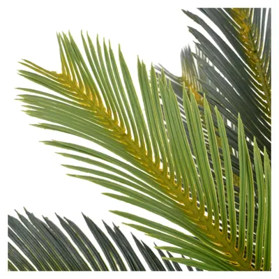 Produktbild von Künstliche Cycas-Palme mit Topf Grün 90 cm