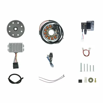 Zdjęcie produktu dla Alternator, zaplon elektroniczny 12V/100W AC - DKW 125, 175, 200, 250