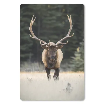Produktbild von MuchoWow® Mauspad Mousepad Hirsch - Baum - Geweih 18x27 cm - Mousepads - Maus Mat - Pad - Mausunterlage
