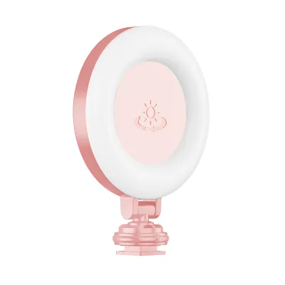 Produktbild von Mini-Fotolampe, tragbares LED-Licht, dreifarbiges Videolicht, 360° drehbar, Typ-C-Leistung, 48 LED-Perlen mit Kaltschuhhalterung und 4/1-Zoll-Schraube, kompatibel mit dem magischen Arm der Selfie-Stick-Kamera