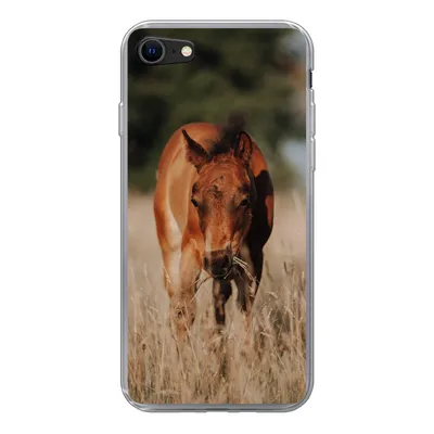 Produktbild von MuchoWow® Handyhülle Schutzhülle Hülle für iPhone SE 2020 Pferd - Sonne - Landschaft Silikon Softcase Handy Hülle - Kartenbesitzer