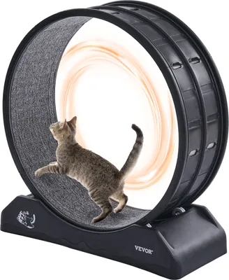 A cat is running on a cat wheel.
