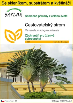 Obrázek produktu pro SAFLAX Kultivační sada - Cestovatelský strom - Ravenala madagascariensis - 8 Semena - S mini skleníkem, pěstebním substrátem a 2 květináči