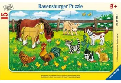 Produktbild von Pz. Bauernhoftiere auf Wiese 15T.