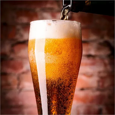 Produktbild von Wallario Premium Glasbild, freischwebende Optik, kräftige Farben, Größe 30 x 30 cm Motiv Frisches Pils