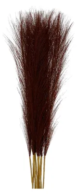 Produktbild von Kunstpampasgras, flauschig, 55 cm, künstliches Pampasgras für Wohnzimmer, Party, Wandvase, Hochzeitsdekoration, dunkler Kaffee, 10 Stück