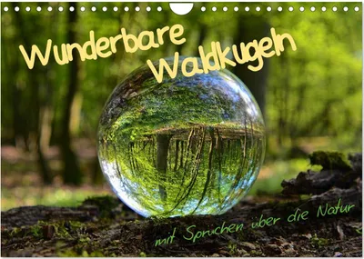 Produktbild von Wunderbare Waldkugeln (Wandkalender 2025 DIN A4 quer), CALVENDO Monatskalender