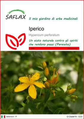 Immagine prodotto di SAFLAX  - Iperico - 300 semi - Hypericum
