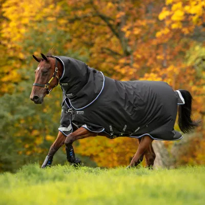 Image de Horseware Amigo Bravo 12 Plus Turnout Medium 250g - Black/Str Blue/Black, 130