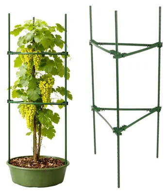 Obrázok produktu pre DIVODV 27931 Trojuholníková opora pre rastliny 90 cm, zelená