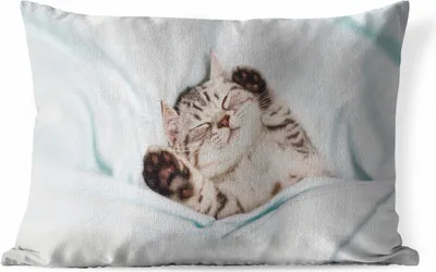 Produktbild von MuchoWow® Outdoor Kissen - Kätzchen - Bett - Pfoten - Mädchen - Kinder - Kinder - Kind - 60x40 cm - Wetterfest - Lounge Kissen - Zierkissen - Kissen für Innenräume