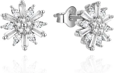 Produktbild von Glitzernde Silberohrringe mit Zirkonen AGUP2725