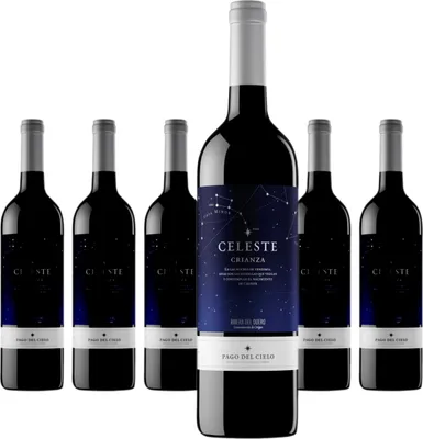 Produktbild von 6 x Miguel Torres Celeste Tempranillo