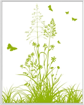Produktbild von Wallario Wandbild Grüne Sommerwiese, Größe: 40,30 x 50,30 cm, Poster mit weißem Aluminiumrahmen