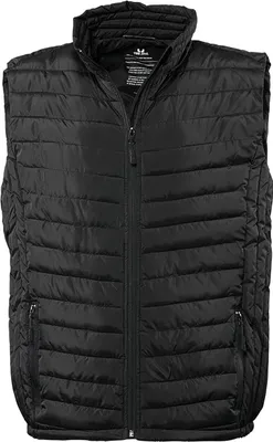 Image de Tee Jays Men's Zepelin Bodywarmer