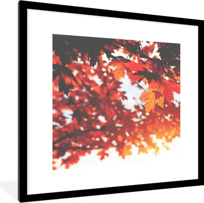Produktbild von MuchoWow® Gerahmtes Poster Herbstliche Blätter - Rustikale Dekoration - Sonne 40x40 cm - Poster mit Schwarzem Bilderrahmen Wandposter Rahmen Foto Bilder - Poster - Plakat im Rahmen