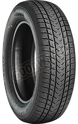 Productafbeelding van Gripmax winterbanden voor motorfietsen, model Suregrip eWinter (205/65 R17 100V XL)
