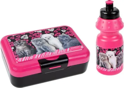 Produktbild von Bidon mit Frühstücksdose Cats 447907 STARPAK