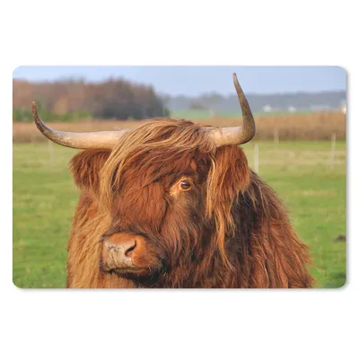 Produktbild von MuchoWow® Mauspad Mousepad Schottischer Highlander - Gras - Baum 27x18 cm - Mousepads - Maus Mat - Pad - Mausunterlage - Büroartikel - Desk Matten