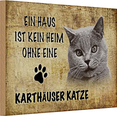 Produktbild von Holzschild Spruch 30x20cm Karthäuser Katze ohne kein Heim