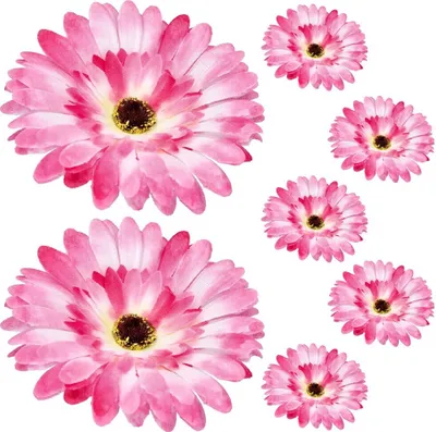 Produktbild von Dekolo Künstliche Pflanzen Deko Kunstblumen Gerbera-Blütenköpfe 6 Stück Rosa