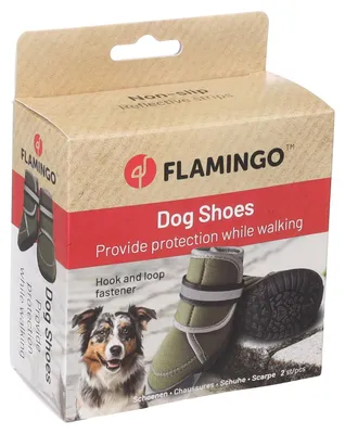 Produktbild von Flamingo Hundeschuhe Kajan grün - 2 Stück, Größe: M