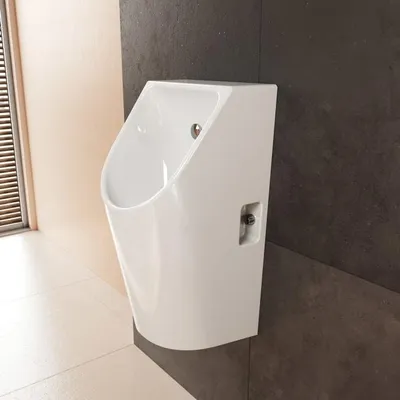 Obrázok produktu pre HANSGROHE 60286450 Pisoár EluPura Original S