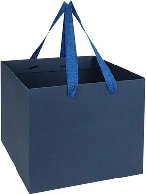 Produktbild von Famanu Geschenktaschen Kraftpapier - 10 Stück