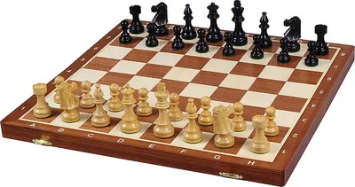 Produktbild von Französisches Staunton-Turnierschachspiel Nr. 5