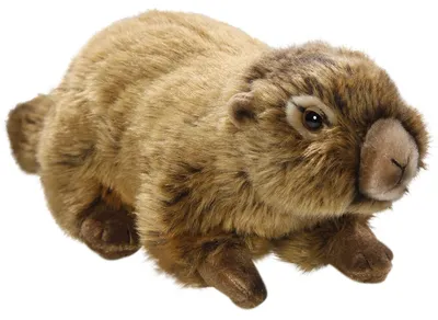 Zdjęcie produktu dla Carl Dick Marmot leżący ok. 25 cm 2616 Przytulanka, miękka zabawka, pluszak