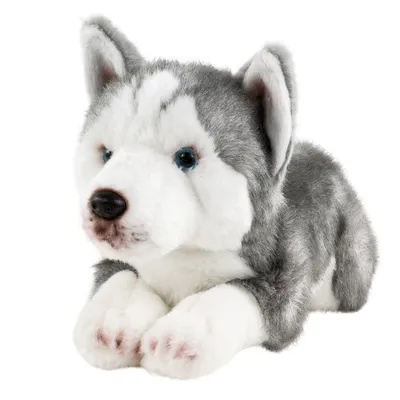 Produktbild von Husky Kuscheltier liegend 30 cm