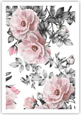 Produktbild von Poster - Poster ohne Rahmen - Blumen Blätter Pflanze Rose - 70x100 cm - Wand Bild - Wanddeko - Wandbilder - Kunstposter - Wandposter - Bilder - Kunstdruck - Wandbild - P2XPA70x100-2952