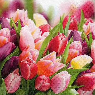 Produktbild von 20 kleine Cocktailservietten Pink & Violet Tulips - Tulpen in rosa und rot 25x25cm