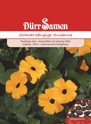 Produktbild von Dürr-Samen - Schwarzäugige Susanne orange mit schwarzer Mitte 200 cm - Saatgut - 0956