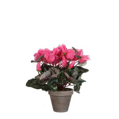 Image de Mica Decorations Fleur artificielle Cyclamen - 30x30x30 cm - Polyester - Gris