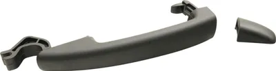 Produktbild von FAST FT94314 Türgriff für FIAT 500 (312)
