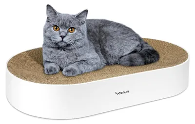 Produktbild von Katzen Kratzbrett, 63 x 35 x 10 cm, Ovale Kratzmöbel, Kratzmatte, Lounge, Kratzschale für Katzen mit Katzenminze