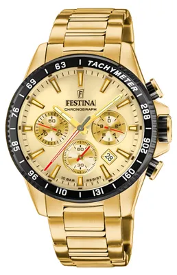 Image de Festina Timeless Chronograph montre homme