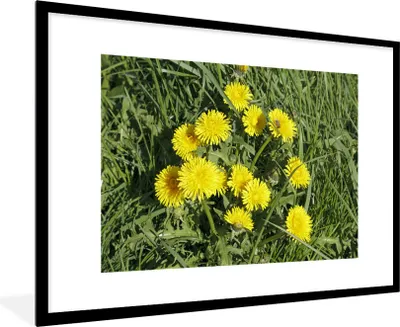 Produktbild von MuchoWow® Gerahmtes Poster Löwenzahn - Gras - Frühling 90x60 cm - Poster mit Schwarzem Bilderrahmen Wandposter Rahmen Foto Bilder - Wanddekoration - Fotos