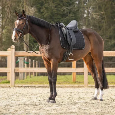Produktbild von QHP Schabracke Firenze, Farbe:Schwarz, Größe:Dressur