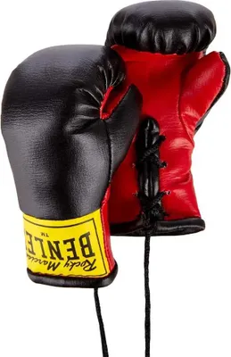 A pair of miniature boxing gloves.