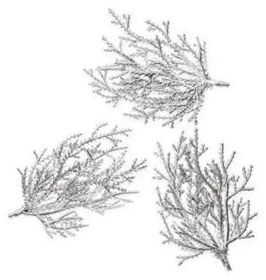 Immagine prodotto di Ramoscelli argentati 9 cm, 3 pezzi - Dalprint dpCraft