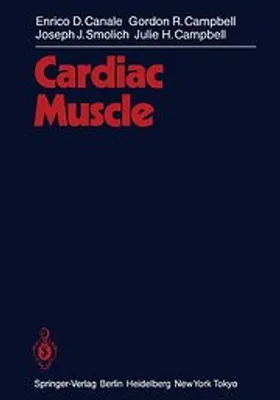 Immagine prodotto di Muscolo cardiaco