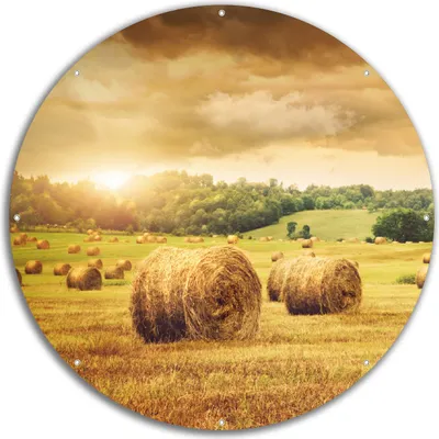 Produktbild von Wallario rundes Outdoor-Poster für Garten oder Balkon, Motiv Strohballen auf dem Feld bei Sonnenuntergang, 60 cm Durchmesser
